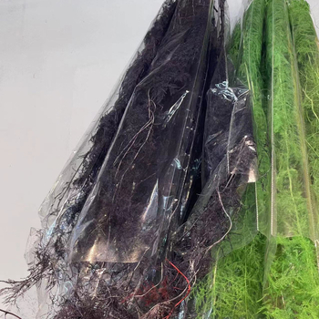 Aranjament decorativ din flori uscate într-o sticlă plutitoare – Material: Eternal Flower; Brand: Famous Craftsman; Varietate: Trandafir; Cadou gata de oferit