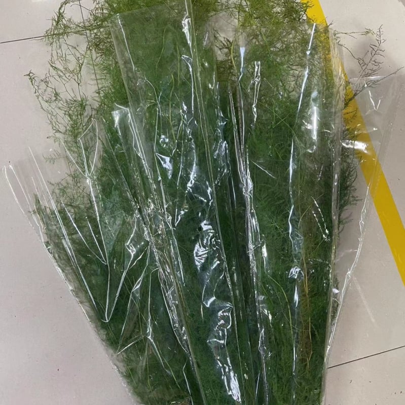 Aranjament decorativ din flori uscate într-o sticlă plutitoare – Material: Eternal Flower; Brand: Famous Craftsman; Varietate: Trandafir; Cadou gata de oferit