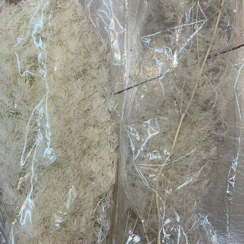 Aranjament decorativ din flori uscate într-o sticlă plutitoare – Material: Eternal Flower; Brand: Famous Craftsman; Varietate: Trandafir; Cadou gata de oferit