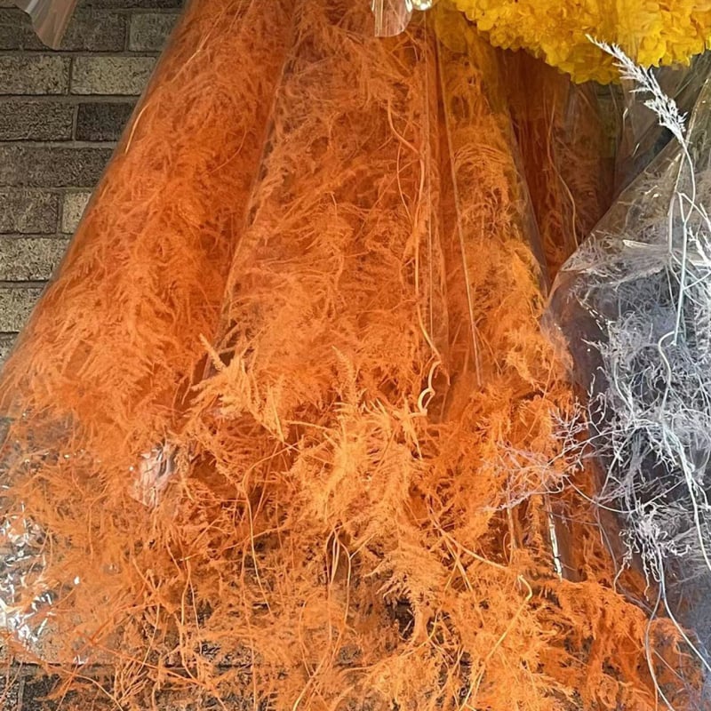 Aranjament decorativ din flori uscate într-o sticlă plutitoare – Material: Eternal Flower; Brand: Famous Craftsman; Varietate: Trandafir; Cadou gata de oferit