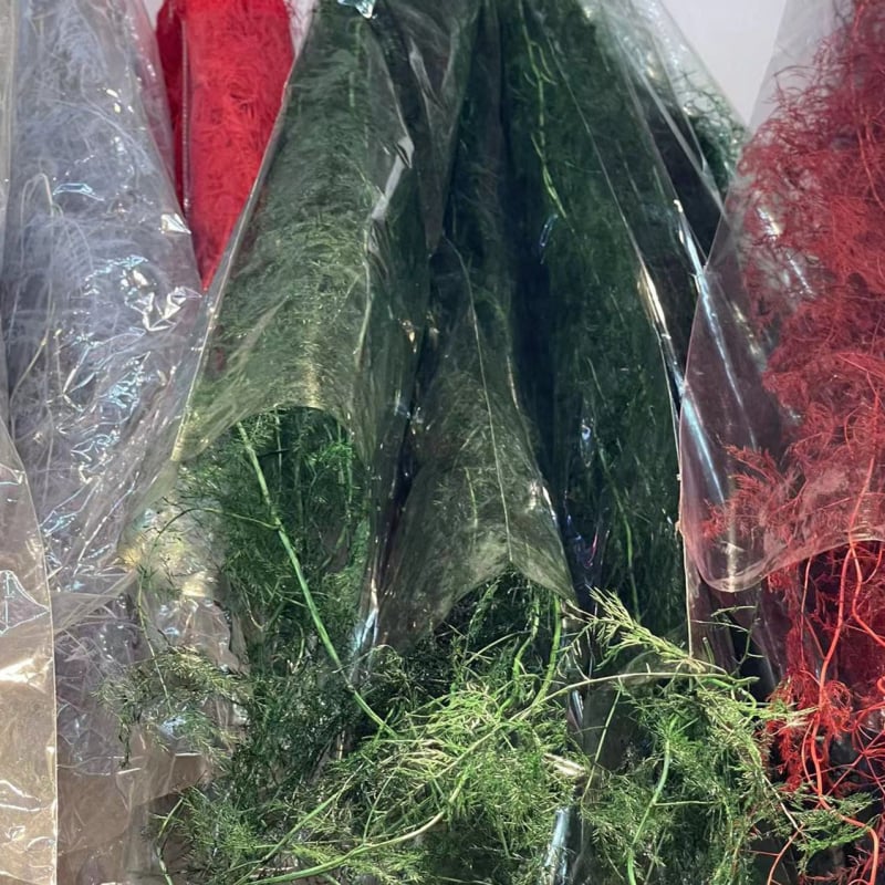 Aranjament decorativ din flori uscate într-o sticlă plutitoare – Material: Eternal Flower; Brand: Famous Craftsman; Varietate: Trandafir; Cadou gata de oferit