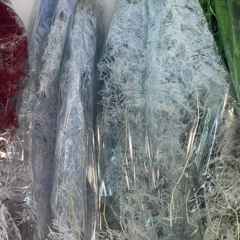 Aranjament decorativ din flori uscate într-o sticlă plutitoare – Material: Eternal Flower; Brand: Famous Craftsman; Varietate: Trandafir; Cadou gata de oferit