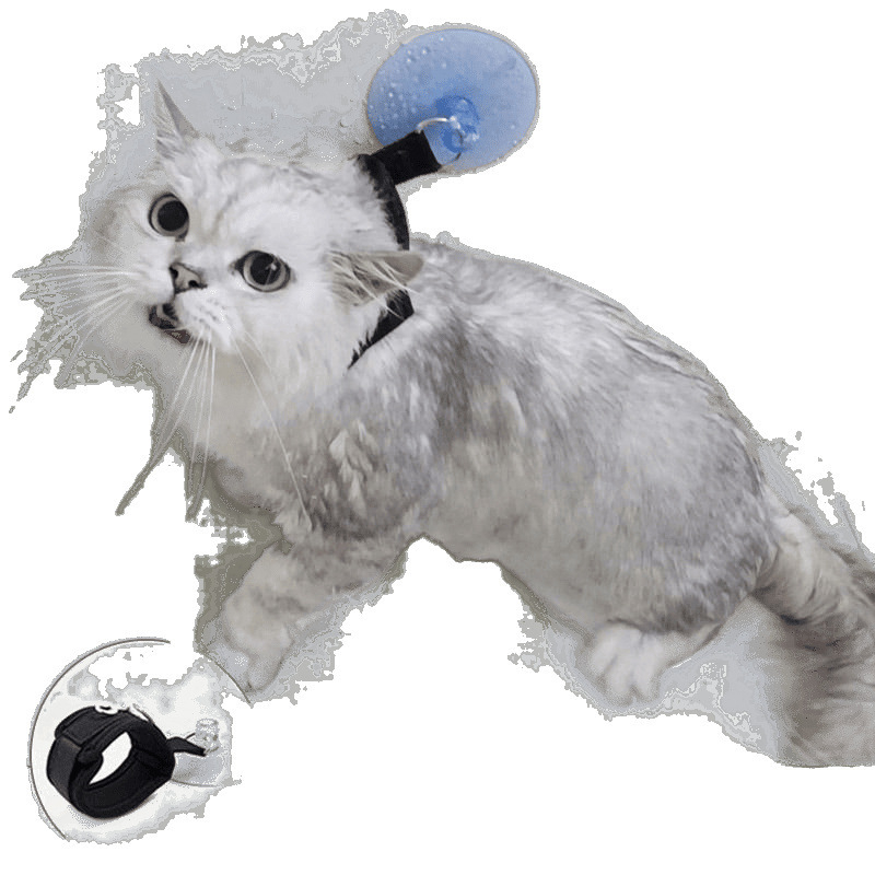 Kaķa vannas piesaistes līdzeklis ar anti-skrāpējošu kakla auklu – Zīmols Unique; Kategorija: Citas tīrīšanas un skaistumkopšanas preces; Piemērots: kaķiem