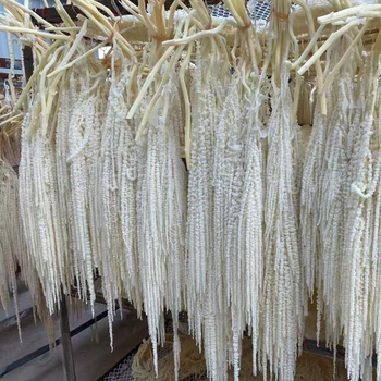 Decor suspendat cu flori veșnic înflorite — Yun Jinlan; Material: Flori veșnice; Tip: Flori suspendate; Potrivit ca dar pentru juniori, cupluri, colegi, prieteni, vârstnici, colegi de clasă, mentori