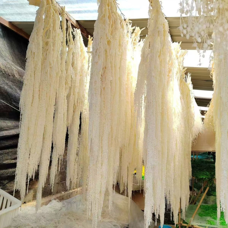 Decor suspendat cu flori veșnic înflorite — Yun Jinlan; Material: Flori veșnice; Tip: Flori suspendate; Potrivit ca dar pentru juniori, cupluri, colegi, prieteni, vârstnici, colegi de clasă, mentori