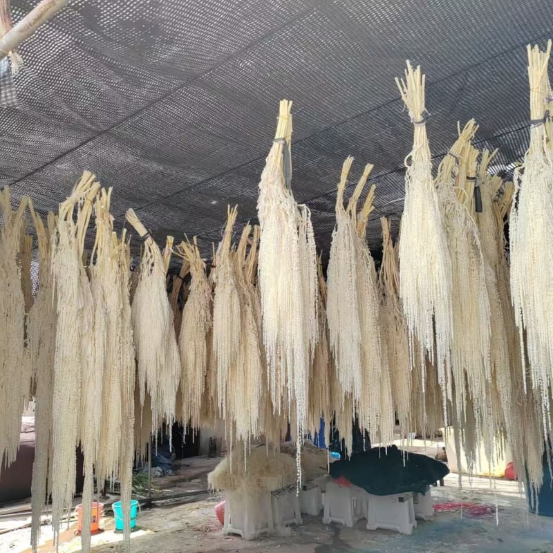 Decor suspendat cu flori veșnic înflorite — Yun Jinlan; Material: Flori veșnice; Tip: Flori suspendate; Potrivit ca dar pentru juniori, cupluri, colegi, prieteni, vârstnici, colegi de clasă, mentori