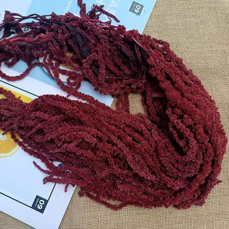 Decor suspendat cu flori veșnic înflorite — Yun Jinlan; Material: Flori veșnice; Tip: Flori suspendate; Potrivit ca dar pentru juniori, cupluri, colegi, prieteni, vârstnici, colegi de clasă, mentori