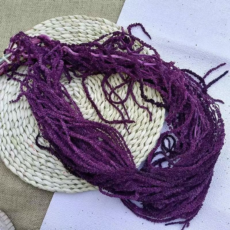 Decor suspendat cu flori veșnic înflorite — Yun Jinlan; Material: Flori veșnice; Tip: Flori suspendate; Potrivit ca dar pentru juniori, cupluri, colegi, prieteni, vârstnici, colegi de clasă, mentori