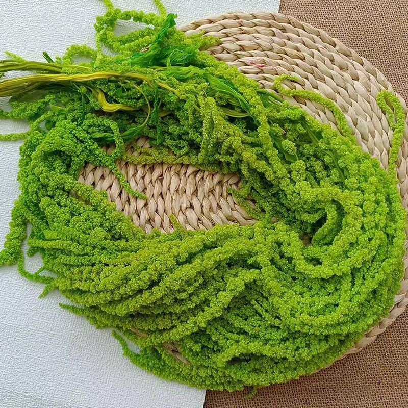 Decor suspendat cu flori veșnic înflorite — Yun Jinlan; Material: Flori veșnice; Tip: Flori suspendate; Potrivit ca dar pentru juniori, cupluri, colegi, prieteni, vârstnici, colegi de clasă, mentori