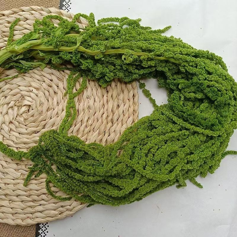 Decor suspendat cu flori veșnic înflorite — Yun Jinlan; Material: Flori veșnice; Tip: Flori suspendate; Potrivit ca dar pentru juniori, cupluri, colegi, prieteni, vârstnici, colegi de clasă, mentori