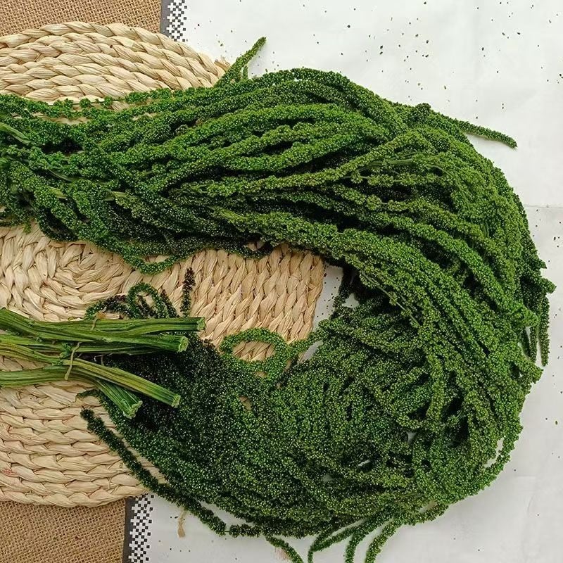 Decor suspendat cu flori veșnic înflorite — Yun Jinlan; Material: Flori veșnice; Tip: Flori suspendate; Potrivit ca dar pentru juniori, cupluri, colegi, prieteni, vârstnici, colegi de clasă, mentori