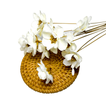 Lillian's Kézzel készített szárított ezüst harangvirág csokor