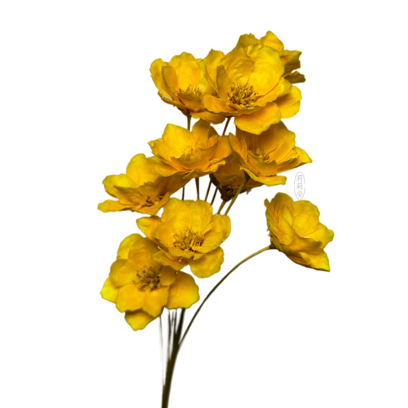 Lillian's Kézzel készített szárított ezüst harangvirág csokor