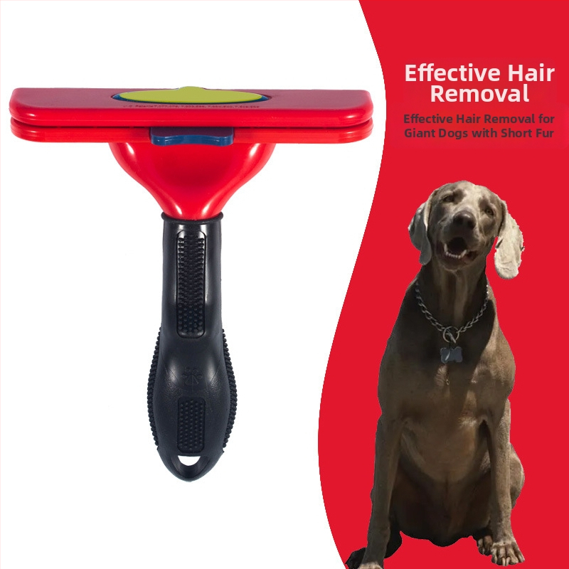 TYRONE Pieptene cu ace pentru pisici și câini — oțel inoxidabil, instrument de îngrijire a blănii, elimină păr liber