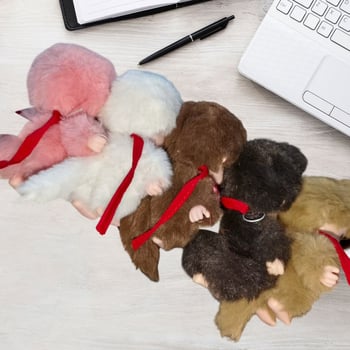 Μαιμού λούτρινο κρεμαστό – κοντό βελούδινο ύφασμα, γέμισμα PP βαμβάκι, παιδικό παιχνίδι