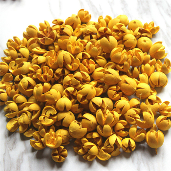 Сушени цветя от фисташка, флористичен материал, избелени и боядисани, марка Flower Thousands of Families