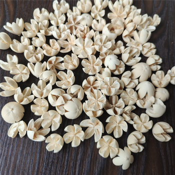 Сушени цветя от фисташка, флористичен материал, избелени и боядисани, марка Flower Thousands of Families