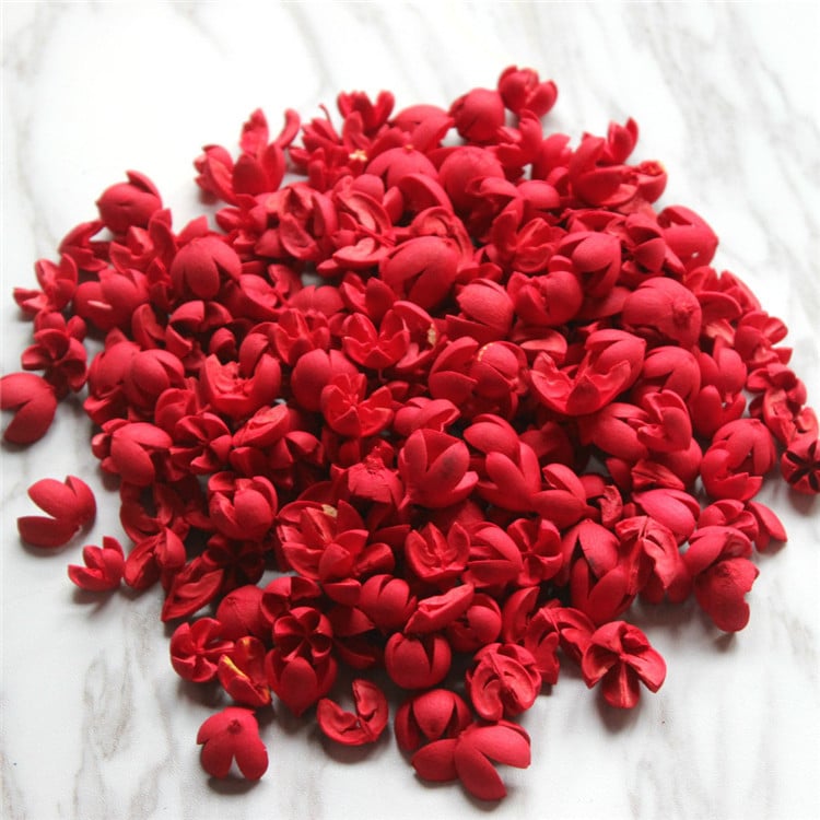 Сушени цветя от фисташка, флористичен материал, избелени и боядисани, марка Flower Thousands of Families