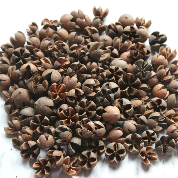 Сушени цветя от фисташка, флористичен материал, избелени и боядисани, марка Flower Thousands of Families