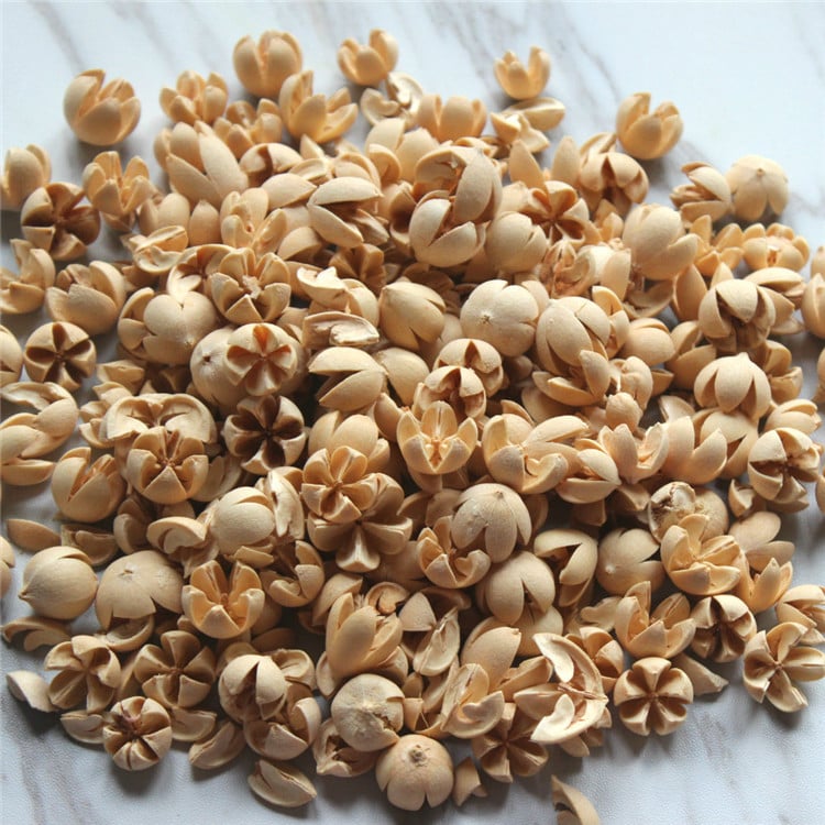 Сушени цветя от фисташка, флористичен материал, избелени и боядисани, марка Flower Thousands of Families