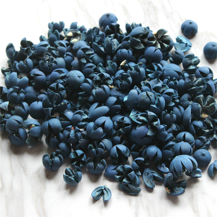 Сушени цветя от фисташка, флористичен материал, избелени и боядисани, марка Flower Thousands of Families