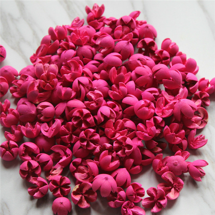 Сушени цветя от фисташка, флористичен материал, избелени и боядисани, марка Flower Thousands of Families