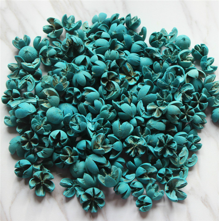 Сушени цветя от фисташка, флористичен материал, избелени и боядисани, марка Flower Thousands of Families