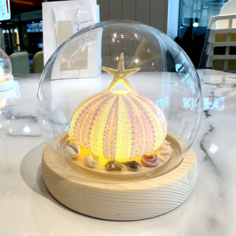 Kit DIY pentru lampă de noapte: meduză în cochilie de arici de mare – SHAOYU, Material: Altceva, Varietate: Altceva