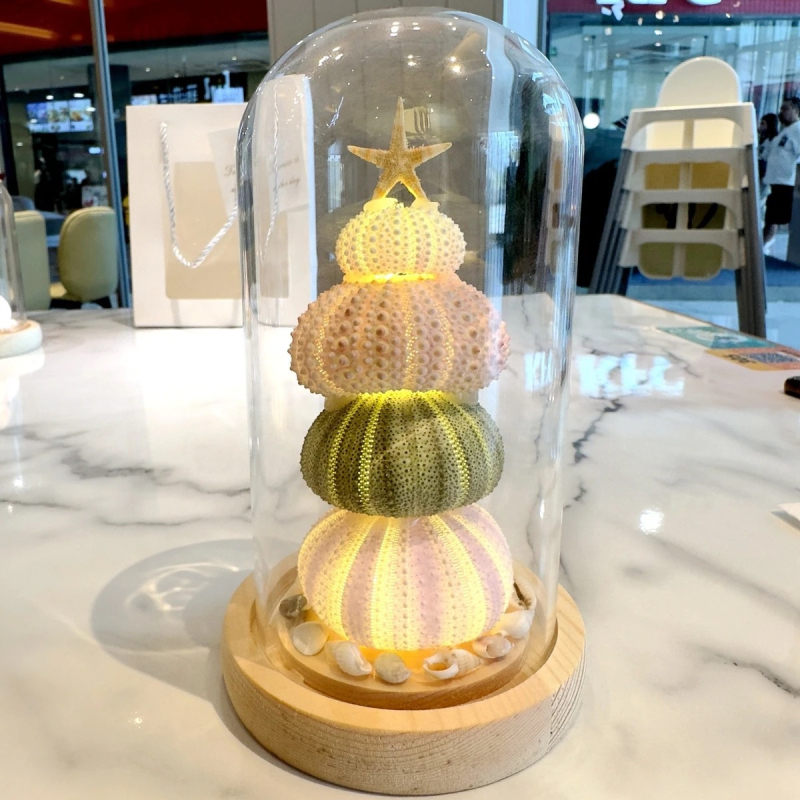 Kit DIY pentru lampă de noapte: meduză în cochilie de arici de mare – SHAOYU, Material: Altceva, Varietate: Altceva