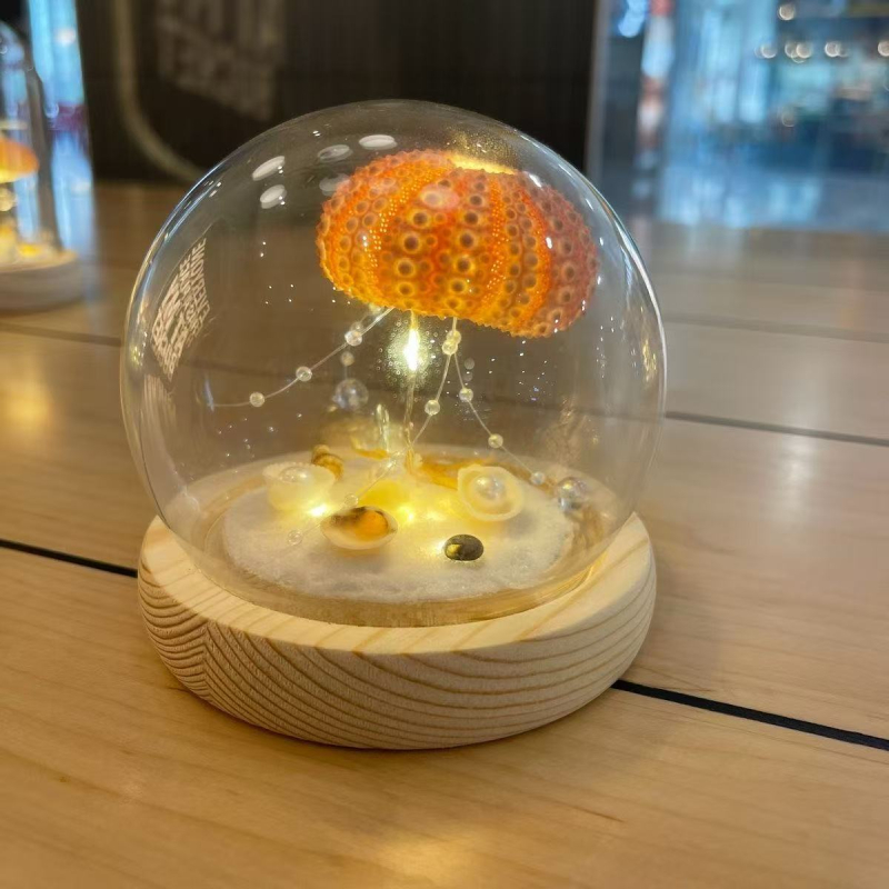 Kit DIY pentru lampă de noapte: meduză în cochilie de arici de mare – SHAOYU, Material: Altceva, Varietate: Altceva