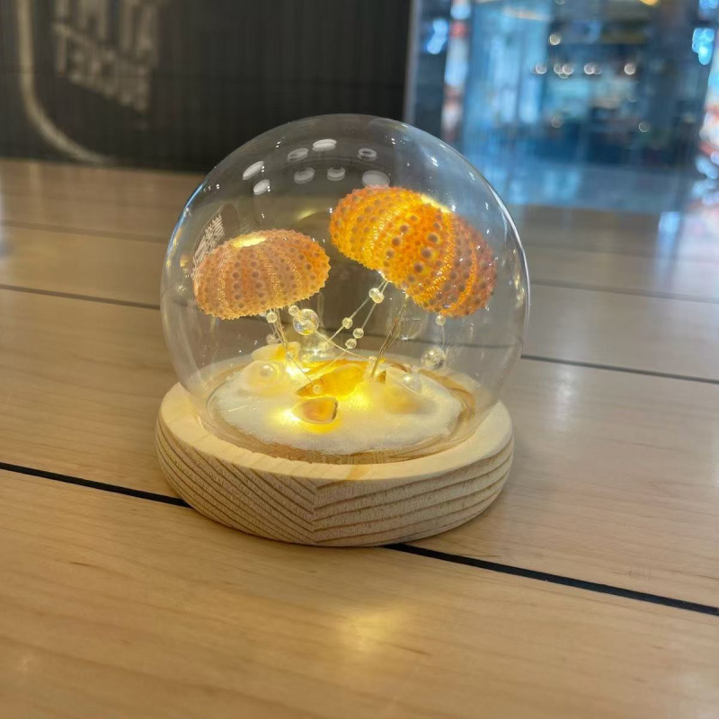 Kit DIY pentru lampă de noapte: meduză în cochilie de arici de mare – SHAOYU, Material: Altceva, Varietate: Altceva