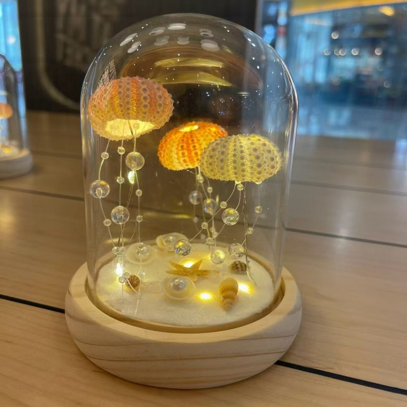 Kit DIY pentru lampă de noapte: meduză în cochilie de arici de mare – SHAOYU, Material: Altceva, Varietate: Altceva