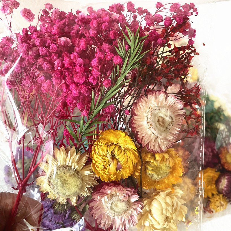 Kit cadou din flori uscate – varietatea All Over the Sky Star, flori uscate lucrate manual pentru decorațiuni și cadouri, potrivit pentru absolvire, inaugurare casă și condoleanțe