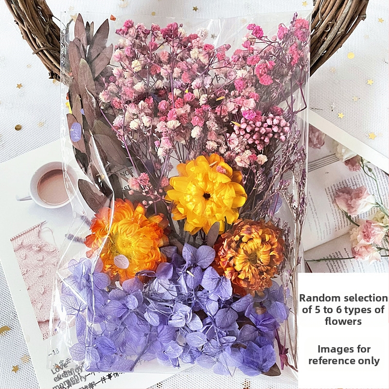 Kit cadou din flori uscate – varietatea All Over the Sky Star, flori uscate lucrate manual pentru decorațiuni și cadouri, potrivit pentru absolvire, inaugurare casă și condoleanțe