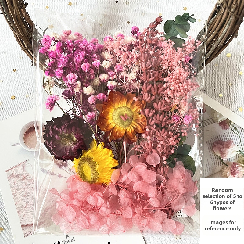 Kit cadou din flori uscate – varietatea All Over the Sky Star, flori uscate lucrate manual pentru decorațiuni și cadouri, potrivit pentru absolvire, inaugurare casă și condoleanțe