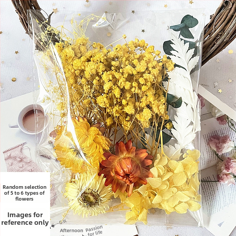 Kit cadou din flori uscate – varietatea All Over the Sky Star, flori uscate lucrate manual pentru decorațiuni și cadouri, potrivit pentru absolvire, inaugurare casă și condoleanțe