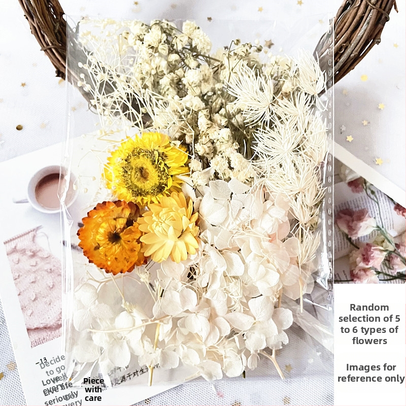 Kit cadou din flori uscate – varietatea All Over the Sky Star, flori uscate lucrate manual pentru decorațiuni și cadouri, potrivit pentru absolvire, inaugurare casă și condoleanțe