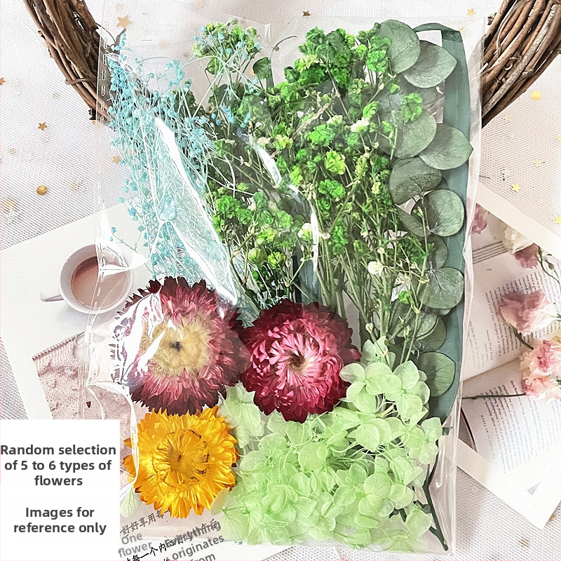 Kit cadou din flori uscate – varietatea All Over the Sky Star, flori uscate lucrate manual pentru decorațiuni și cadouri, potrivit pentru absolvire, inaugurare casă și condoleanțe