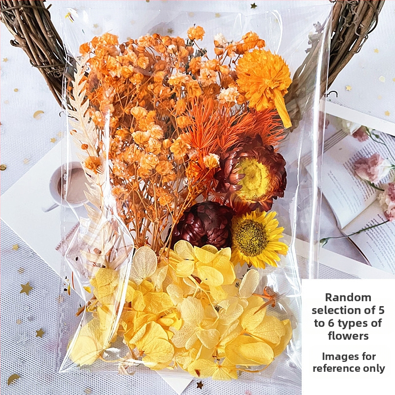 Kit cadou din flori uscate – varietatea All Over the Sky Star, flori uscate lucrate manual pentru decorațiuni și cadouri, potrivit pentru absolvire, inaugurare casă și condoleanțe