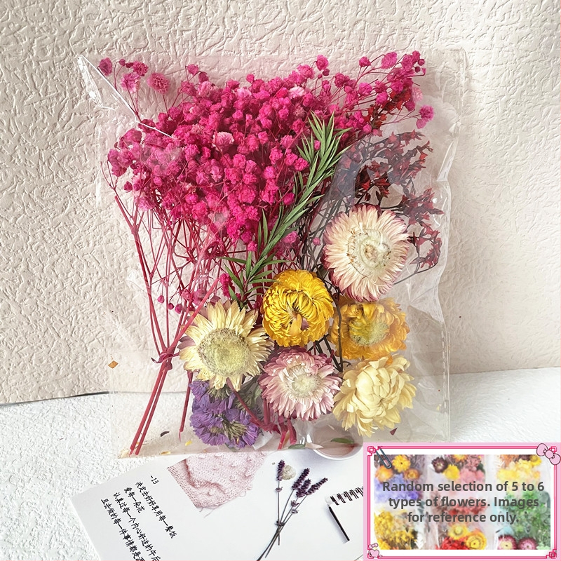 Kit cadou din flori uscate – varietatea All Over the Sky Star, flori uscate lucrate manual pentru decorațiuni și cadouri, potrivit pentru absolvire, inaugurare casă și condoleanțe