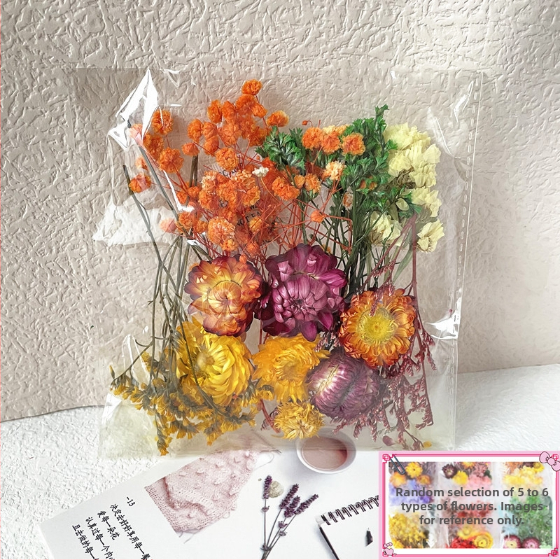 Kit cadou din flori uscate – varietatea All Over the Sky Star, flori uscate lucrate manual pentru decorațiuni și cadouri, potrivit pentru absolvire, inaugurare casă și condoleanțe