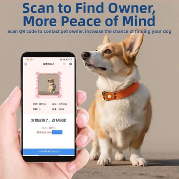 Αδιάβροχος εντοπιστής σκύλου Beidou GPS – παρακολούθηση, αποτροπή απώλειας