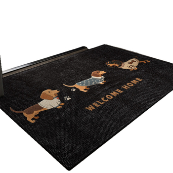 Covoraș de ușă din velur buclat, imprimeu cu animație, pătrat, lavabil, potrivit pentru holul de la intrare