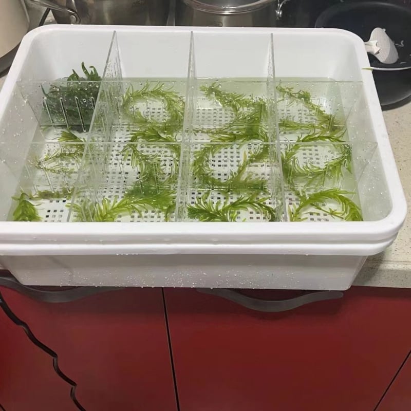 Αναβαθμισμένο Διώροφο Κουτί Άμμου Γάτας για Γατάκια, PVC Υλικό, Μάρκα Unique