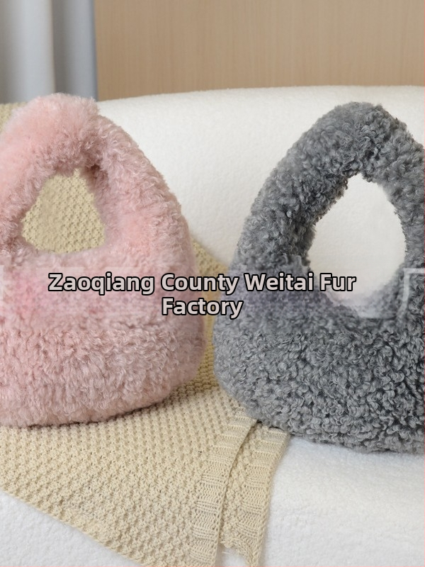 Geantă Dumpling din lână artificială de miel, închidere cu fermoar, căptușeală din piele sintetică, stil urban simplu, Iarnă 2025