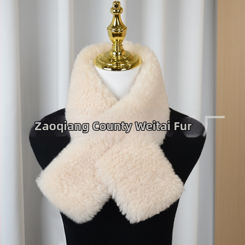 Geantă Dumpling din lână artificială de miel, închidere cu fermoar, căptușeală din piele sintetică, stil urban simplu, Iarnă 2025