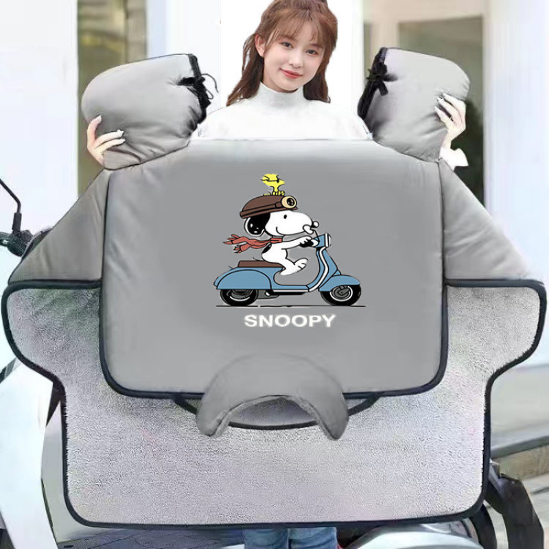 Tuuleklaasi kate elektrilise jalgratta jaoks, Oxford kangas, veekindel, standardne disain, täiskasvanutele, käsitsi eemaldatav