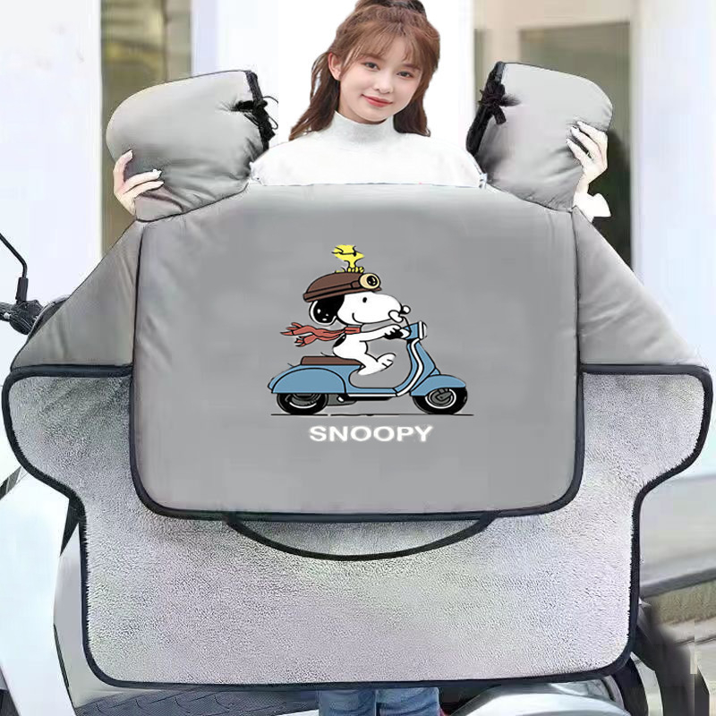 Tuuleklaasi kate elektrilise jalgratta jaoks, Oxford kangas, veekindel, standardne disain, täiskasvanutele, käsitsi eemaldatav