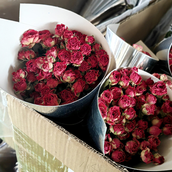 Szárított rózsák, többfejű rózsák, festetlen, csokorhoz, karton csomagolás