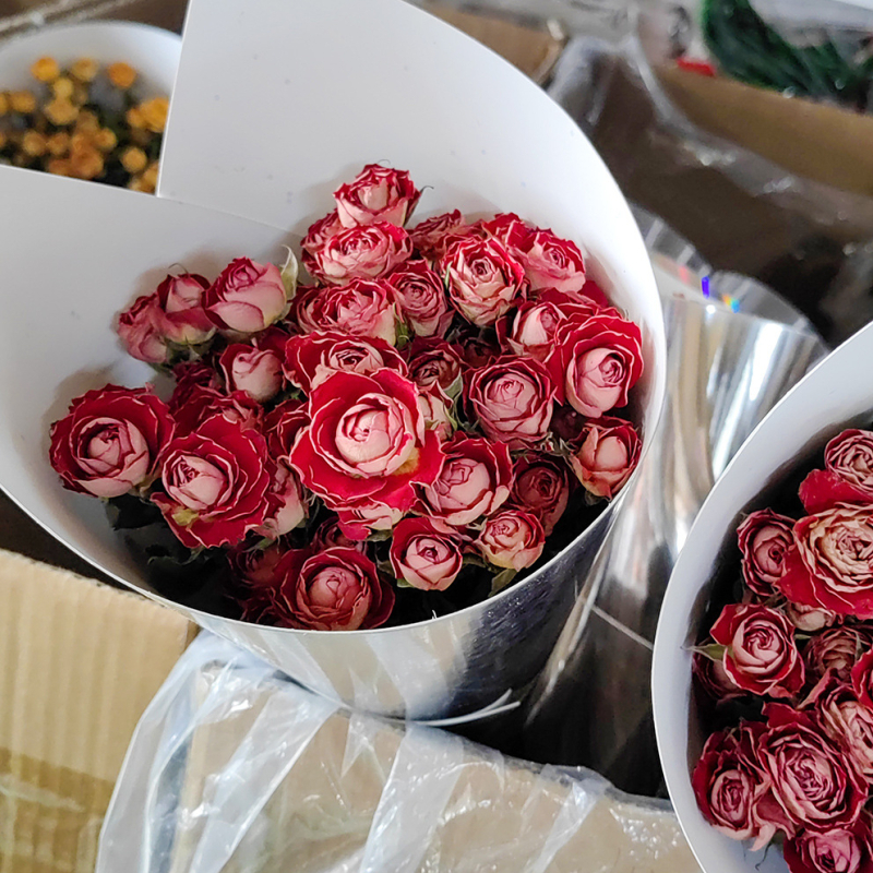 Szárított rózsák, többfejű rózsák, festetlen, csokorhoz, karton csomagolás